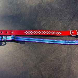 Dog Collars
